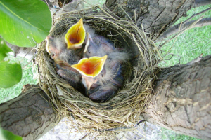 LIFE_banner_2000x1333