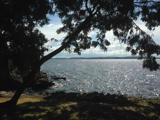 Lake Victoria Water and Sanitation – Lenders’ Supervisor
