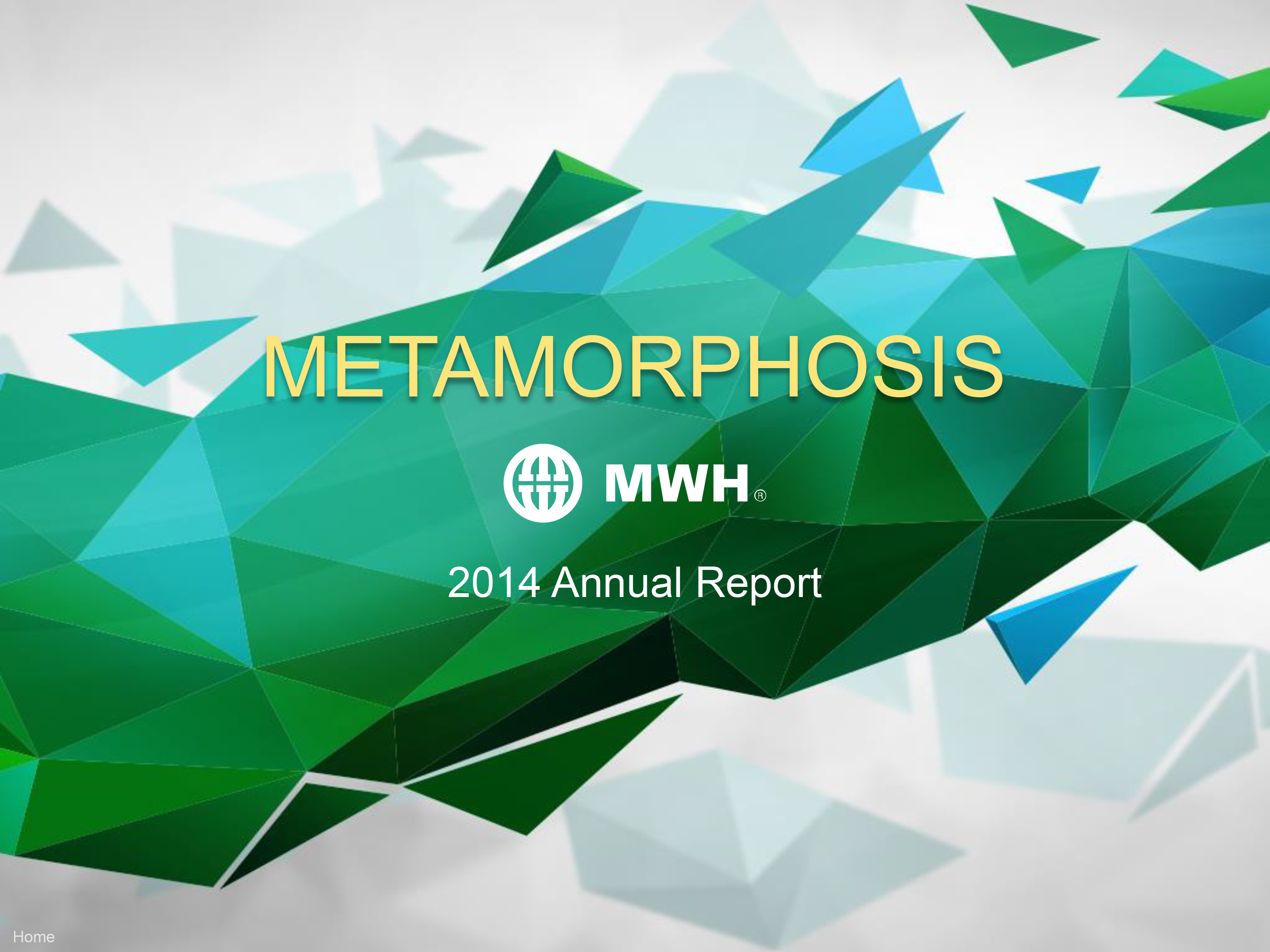 Memoria Anual de MWH Global 2014