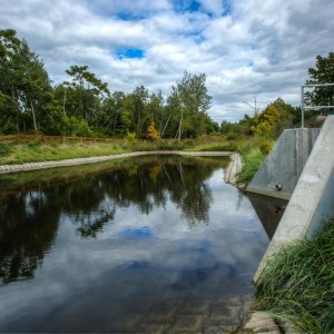 Alewife Reservation Stormwater Wetland Cambridge, Massachusetts, United States