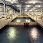 Disinfection By-Product (DBP) Control Program