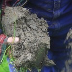 Farming on Well Managed Soils