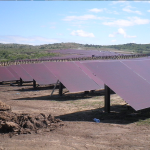 Technical Advising, Construction Mgmt & Operation for Photovoltaic Plant