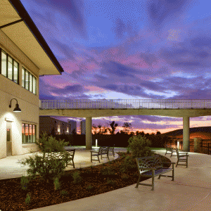 vineyard surface water treatment plant MWH