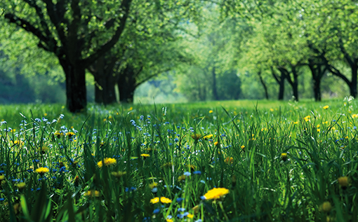 CO2-Prestatieladder_1_510x317