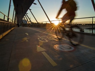 Search for opportunities