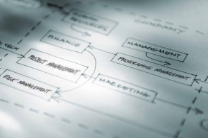 Programme, Project, Management