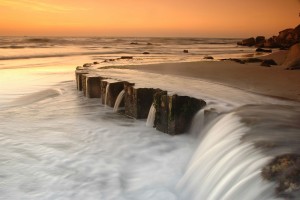 Coastal Restoration