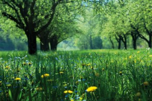 iStock_000003392134_res