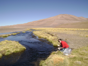 Monserrat-Bellande MWH