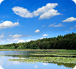 Water Treatment - Clean Water BABW_slider.png