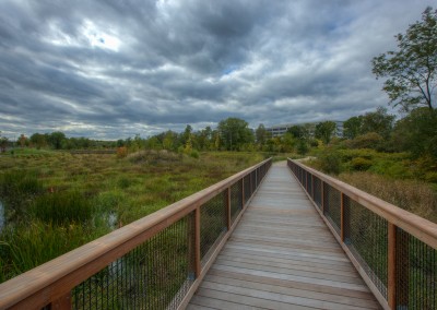 Alewife Reservation Stormwater Wetland