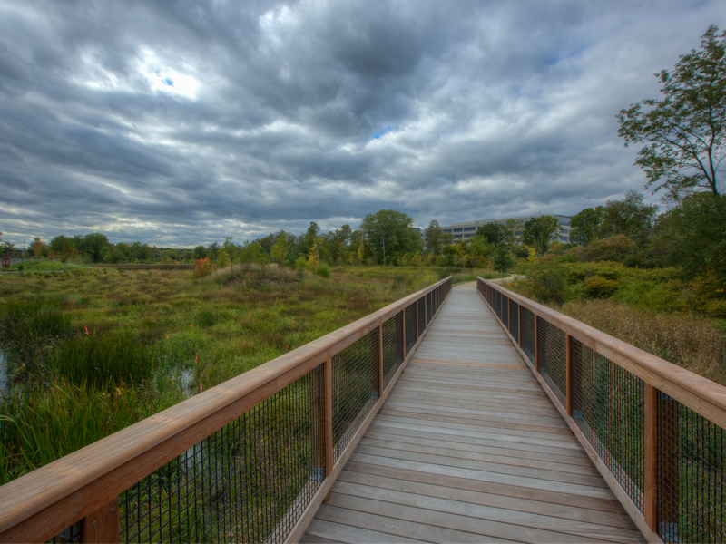 Alewife Reservation Stormwater Wetland