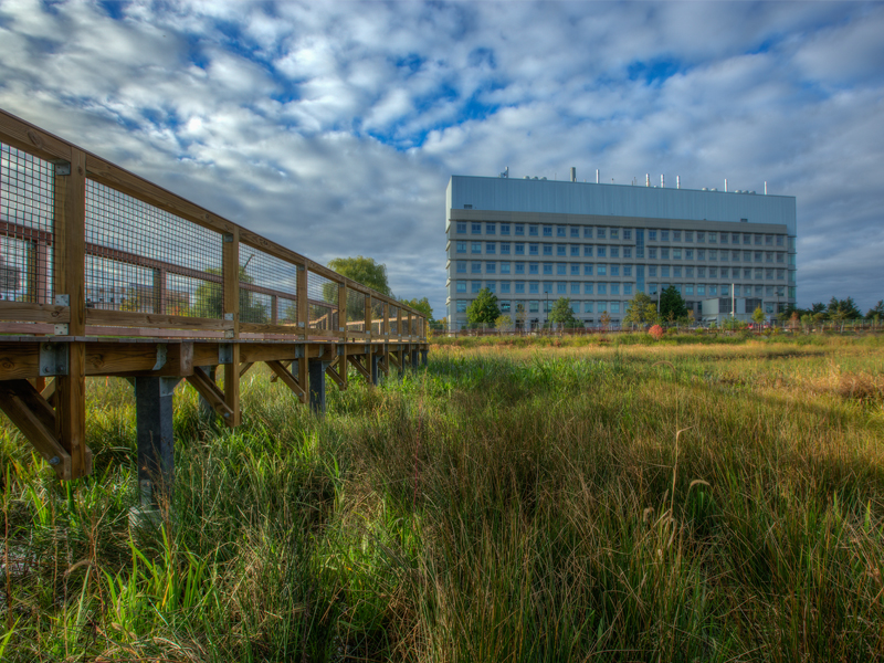 Alewife Reservation Stormwater Wetland