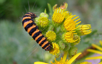 MWH to evaluate applications for LIFE, the EU’s main funding instrument for protection of the environment