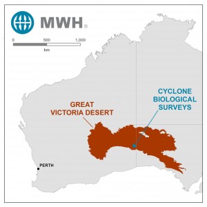 Great Victorian Desert Map MWH