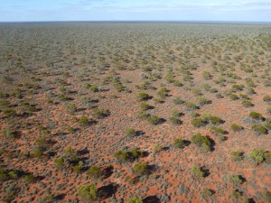 The Great Victorian Desert MWH