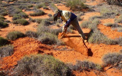 MWH Contributes Threatened Species Knowledge to Great Victoria Desert Scientific Workshops