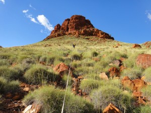 Transect located at an iron ore mine