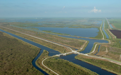 Compliance in the Everglades