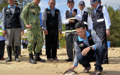 Brunei Crown Prince Releases Two Sea Turtles at MWH Project