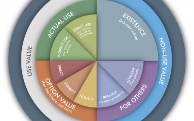 How to solve a problem like… impact assessment