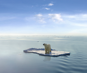 COP21: Collaboration and innovation will be key