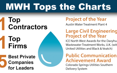 Year in Review-The Best of 2015