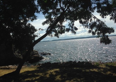 Water Management MWH