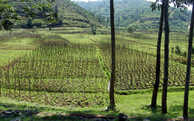 Africa’s Growth Discussed in Rwanda