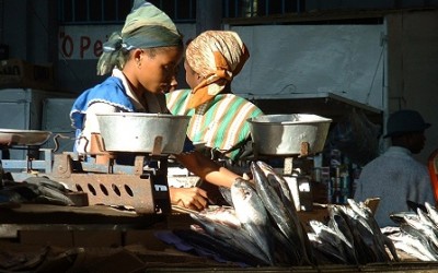 Mozambique: Cooperative Governance on Climate Change